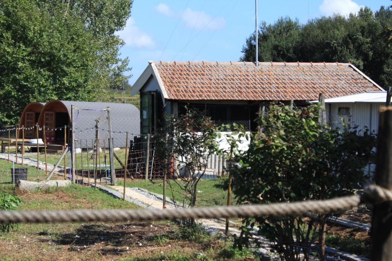 Casa Da Avo Miquinhas Hotel Pacos de Ferreira Luaran gambar